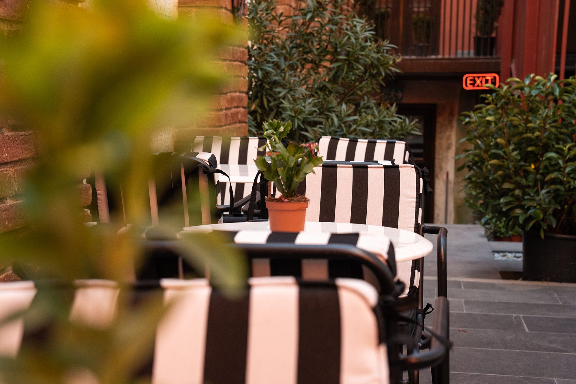 The Courtyard